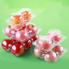 Transparente Beh&auml;lterbox aus PET-Kunststoff f&uuml;r zwei separate Obst- und Gem&uuml;severpackungsboxen