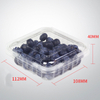 일회용 PET 투명 과일 상자 125g 슈퍼마켓 블루베리 상자 플라스틱 신선한 컷 야채 및 과일 상자