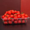 リサイクル可能な透明な新鮮な果物と野菜のペット トレイ プラスチック ブリスター インナー トレイ包装箱