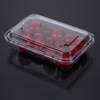 Bo&icirc;te &agrave; myrtilles jetable, bo&icirc;te &agrave; fruits transparente Recyclable en PET avec bo&icirc;tes d'emballage non poreuses