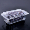 Bo&icirc;te de fruit transparente d'ANIMAL FAMILIER recyclable pour emballer des r&eacute;cipients en plastique jetables de nourriture
